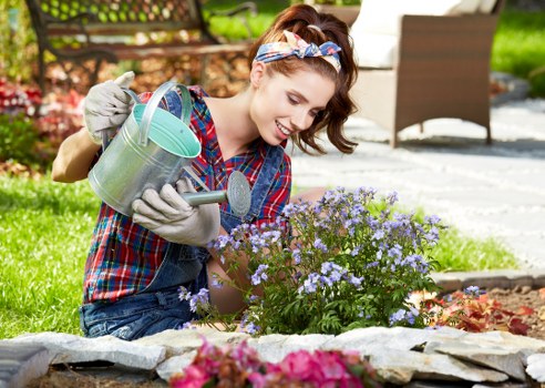 Tree surgery quotation and booking confirmation process