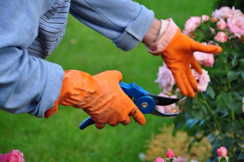 Tree surgeon discussing access, permissions, and job scope