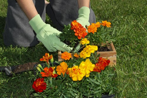 Tree waste removal and lawful disposal of green arisings