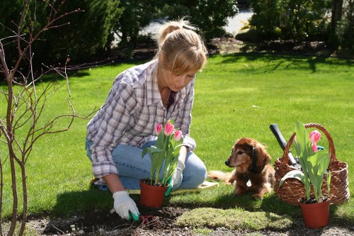 Annual review process for ethical standards in arboricultural services