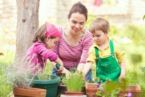 Careful tree maintenance for a residential garden in Hernehill